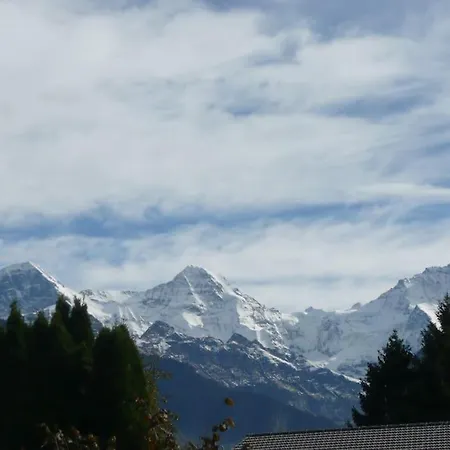 Swiss Traditional With Alpine Mtn View Chalet
