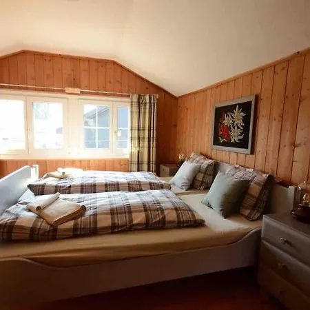 Swiss Traditional With Alpine Mtn View Dağ evi Unterseen